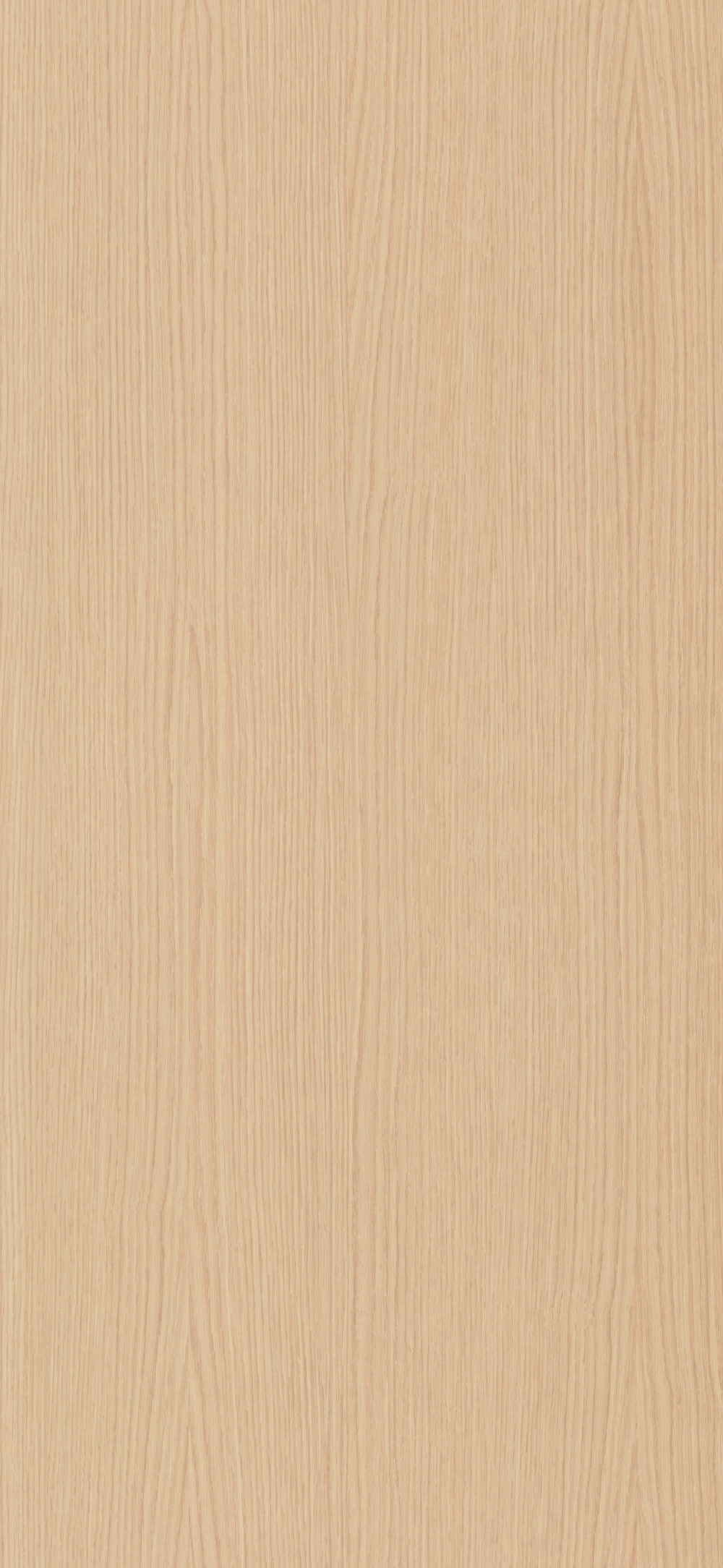 008 - Roble Bello: imagen 1