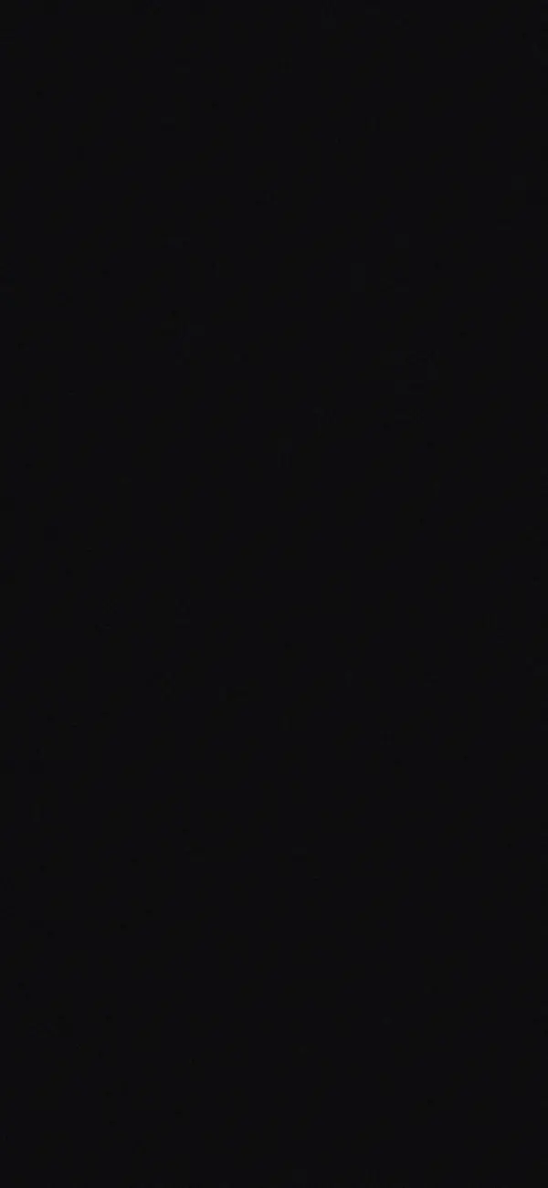 231 - Negro