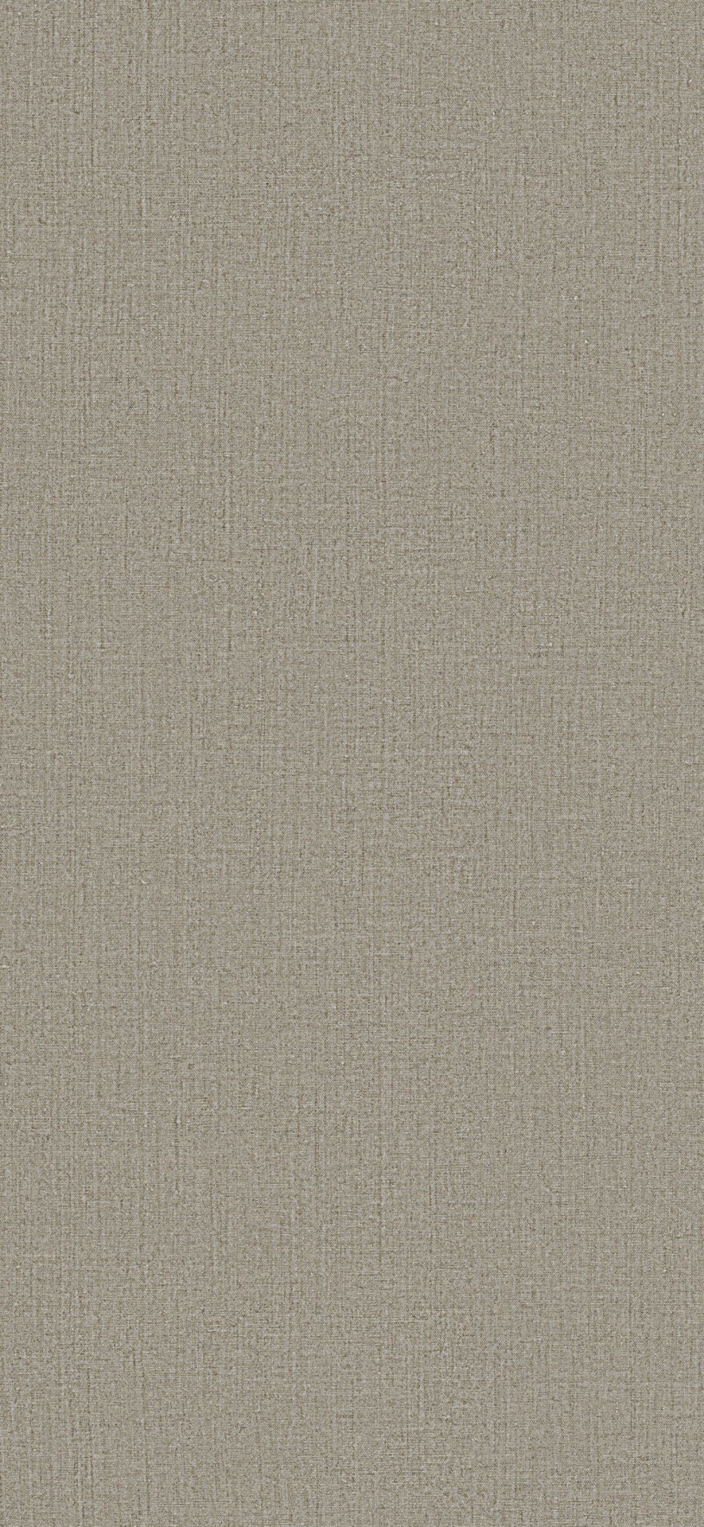248B - Canvas Pardo: imagen 1