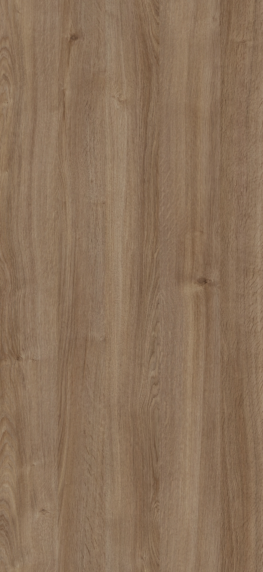 274B - Roble Romance: imagen 1