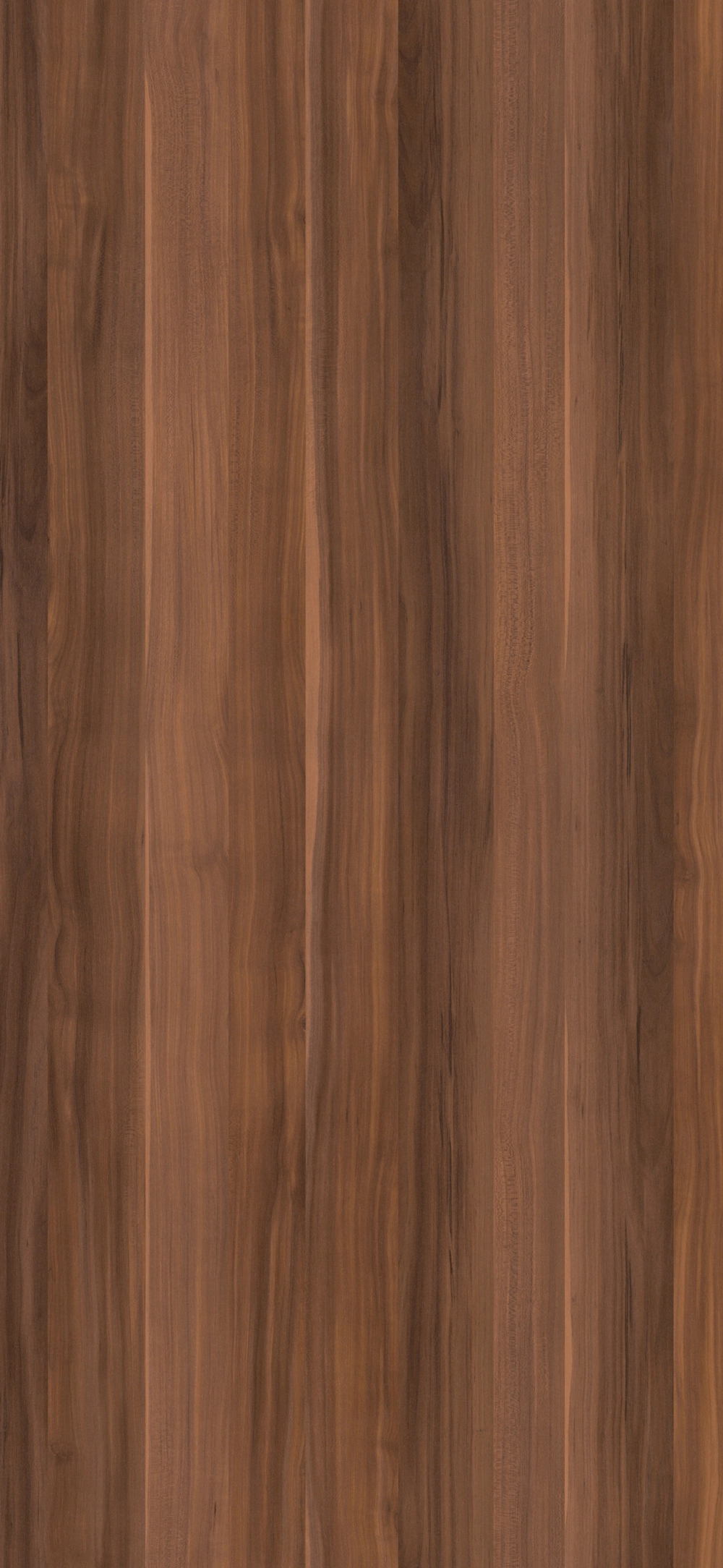 37E - Richmond Plum: imagen 1