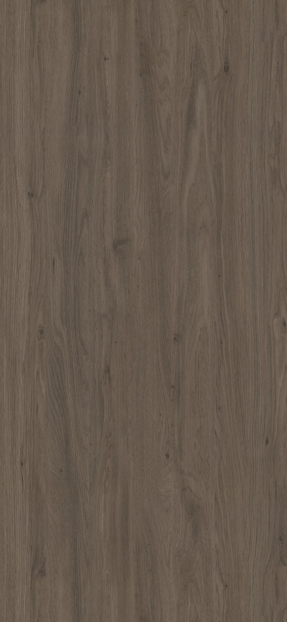 4AE - Roble Eternity: imagen 1