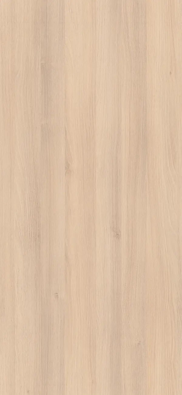 50D - Majestic Acacia