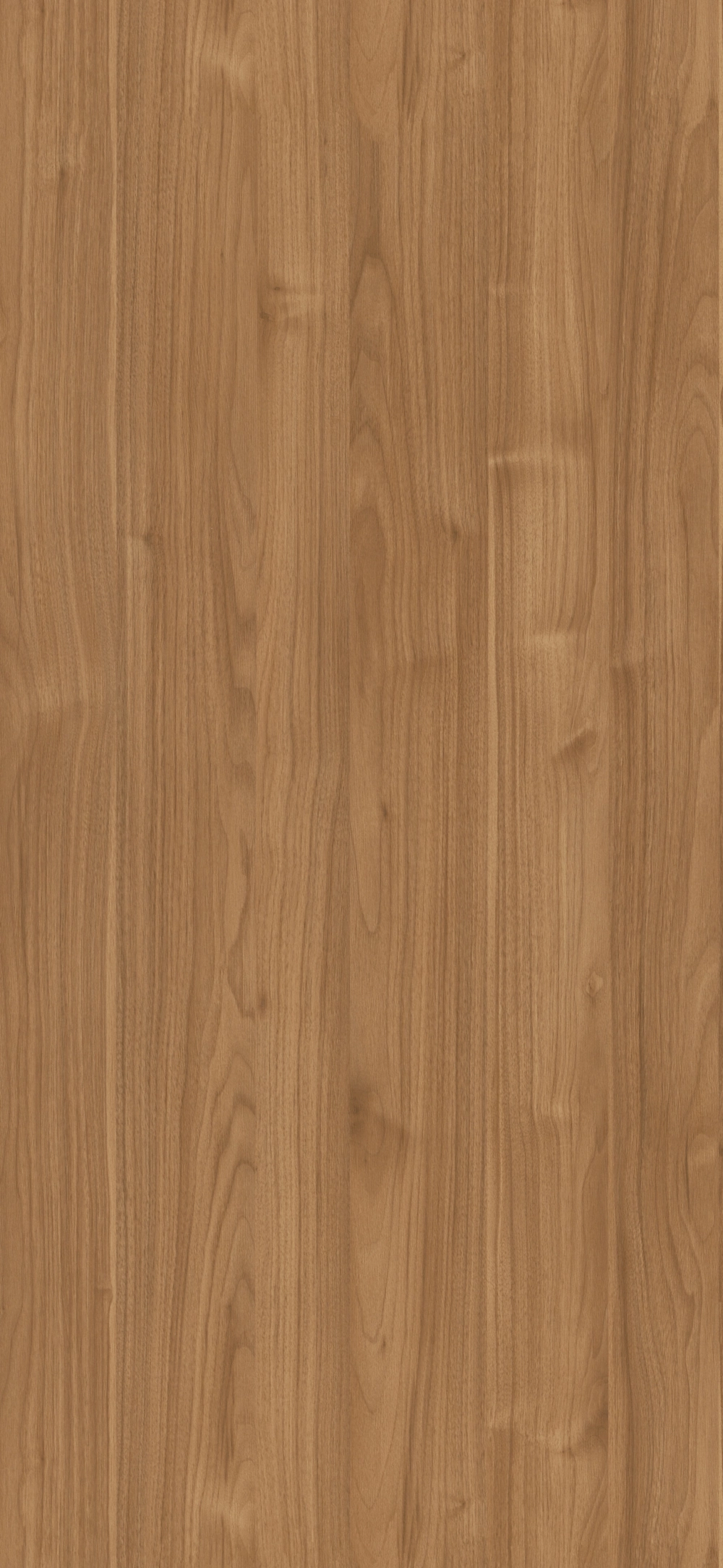 5AE - Nogal Slow: imagen 1