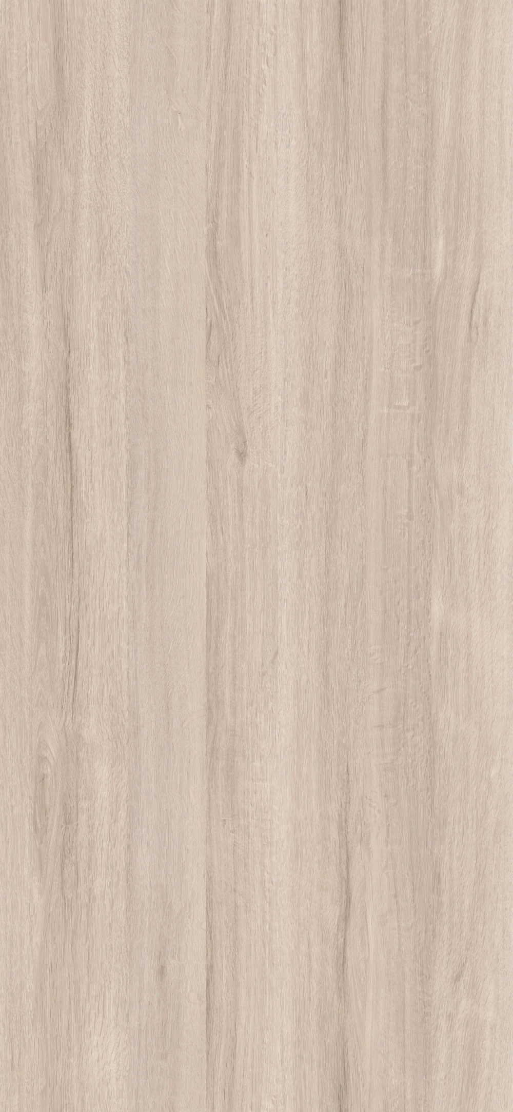 74V - Roble Stella: imagen 1
