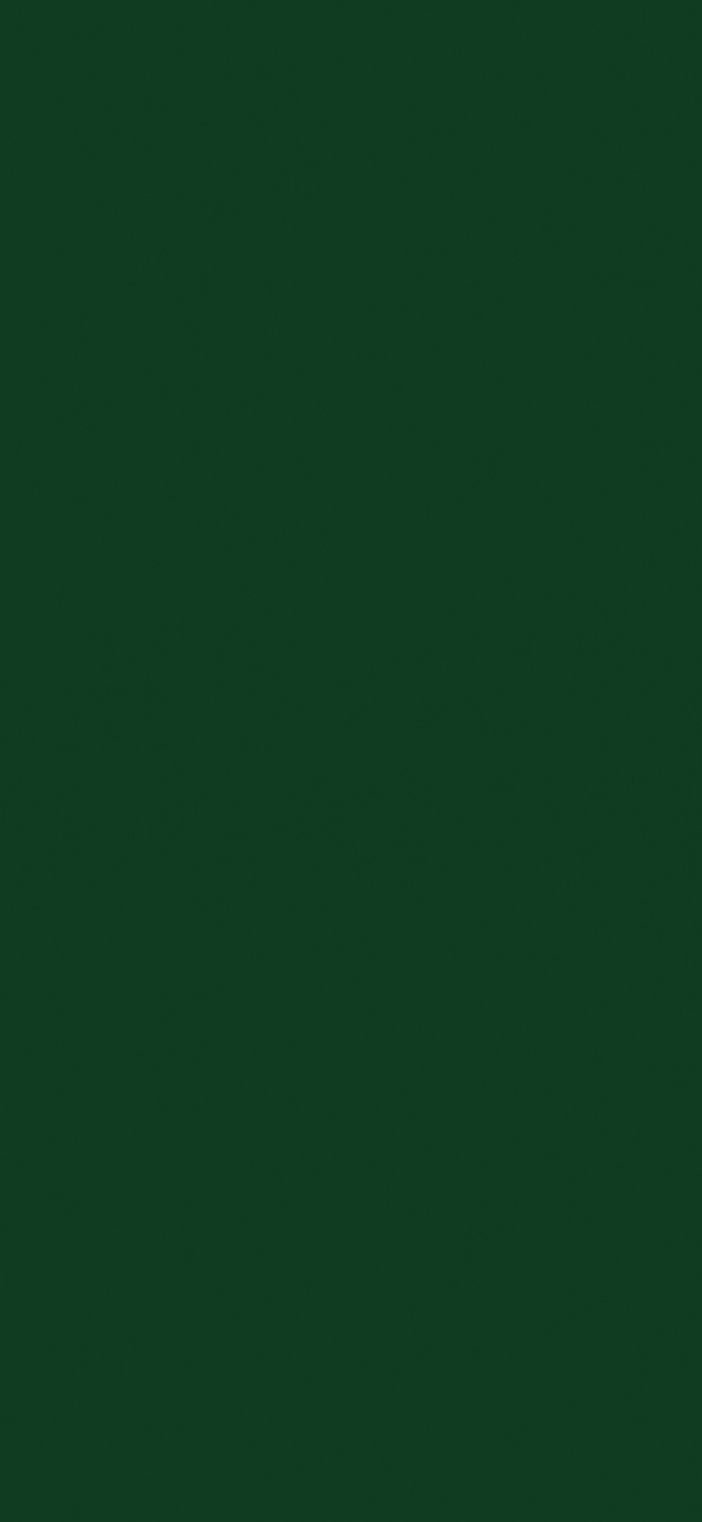 79V - Verde Oxford: imagen 1