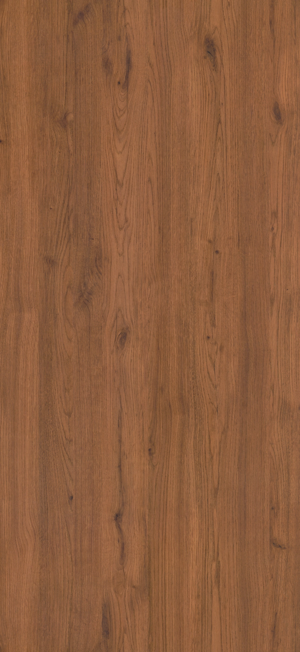 79Y - Old Oak: imagen 1