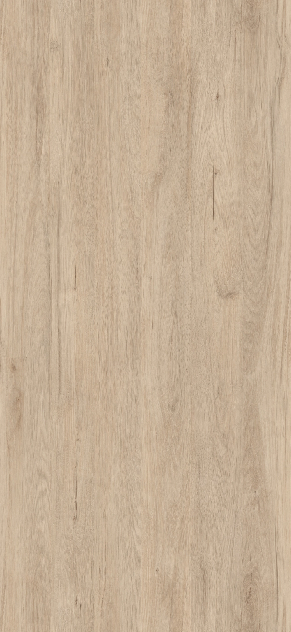 98V - Roble Aurora: imagen 1