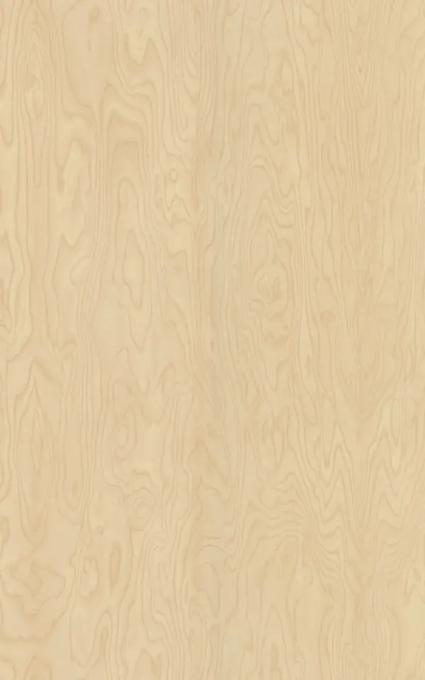 B102 - Bouleau De Siberie