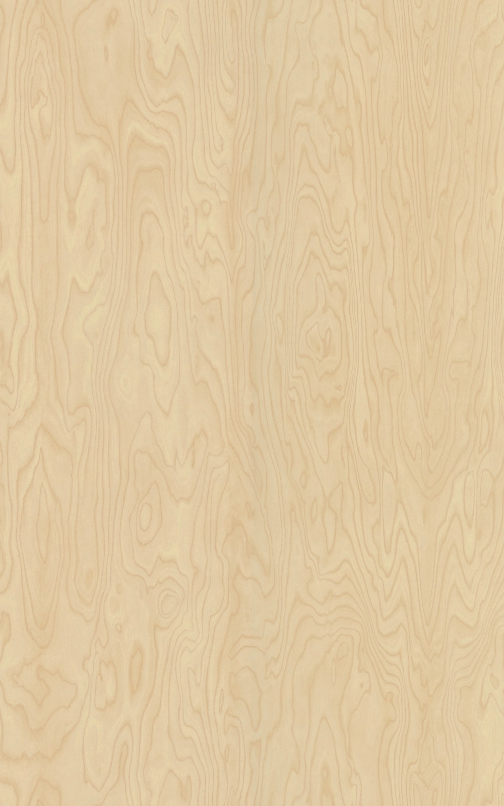 B102 - Bouleau De Siberie: imagen 1