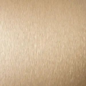B141 - Bronze Brosse
