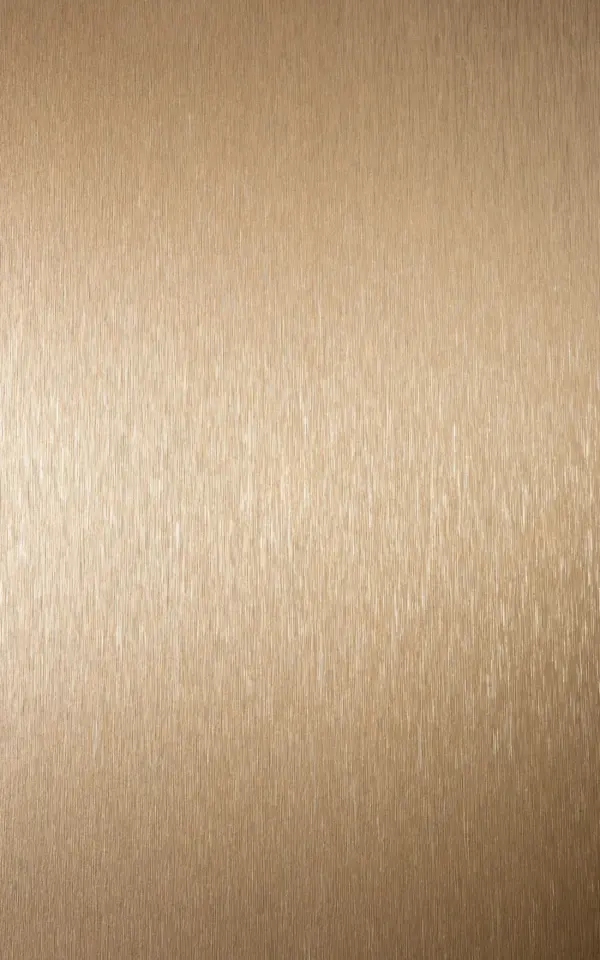 B141 - Bronze Brosse
