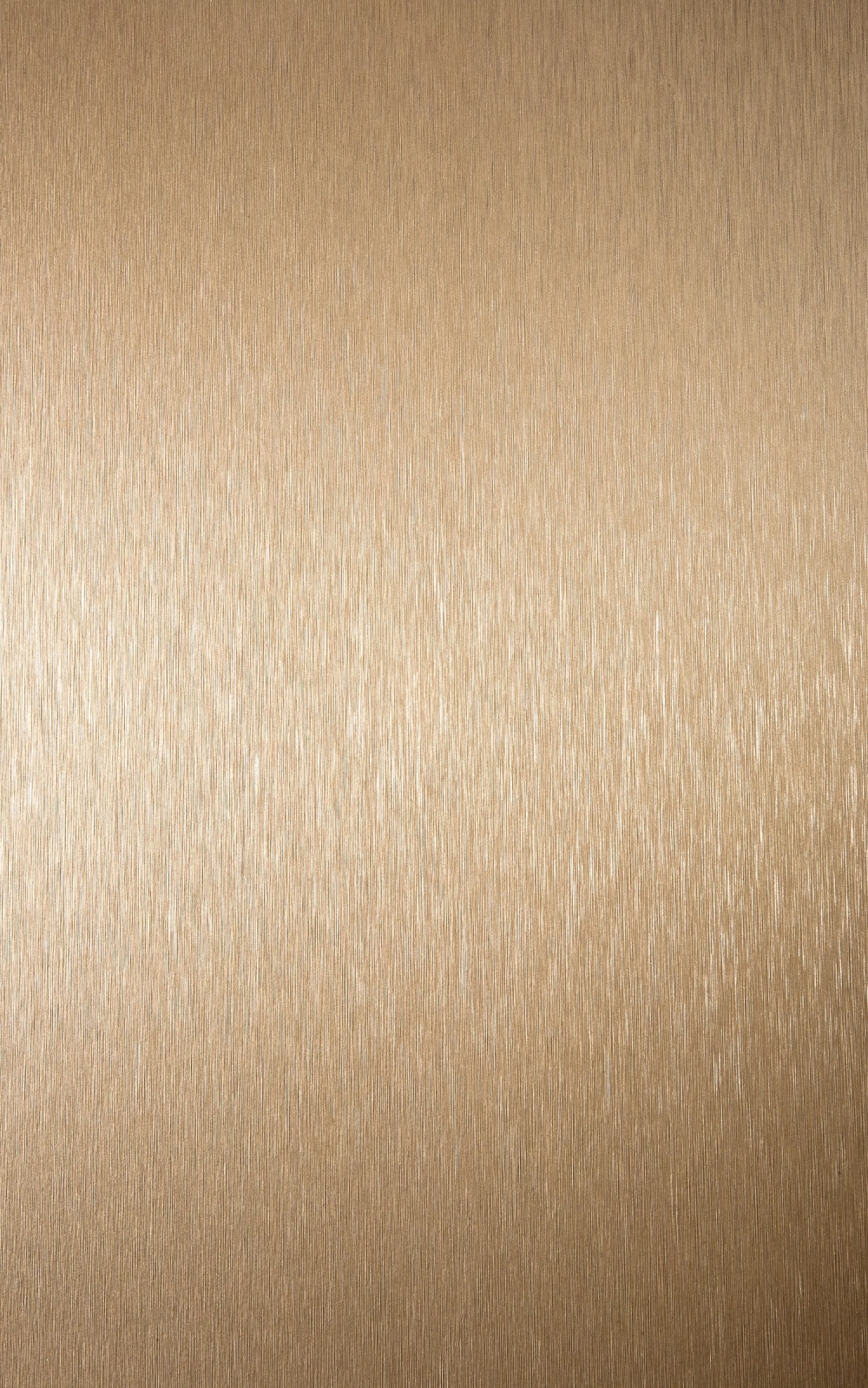 B141 - Bronze Brosse: imagen 1