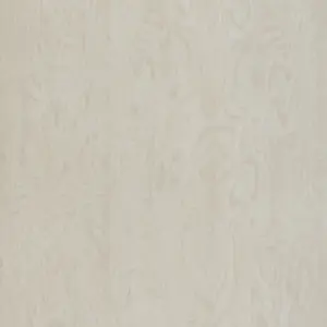 B192 - Bouleau Stevenson