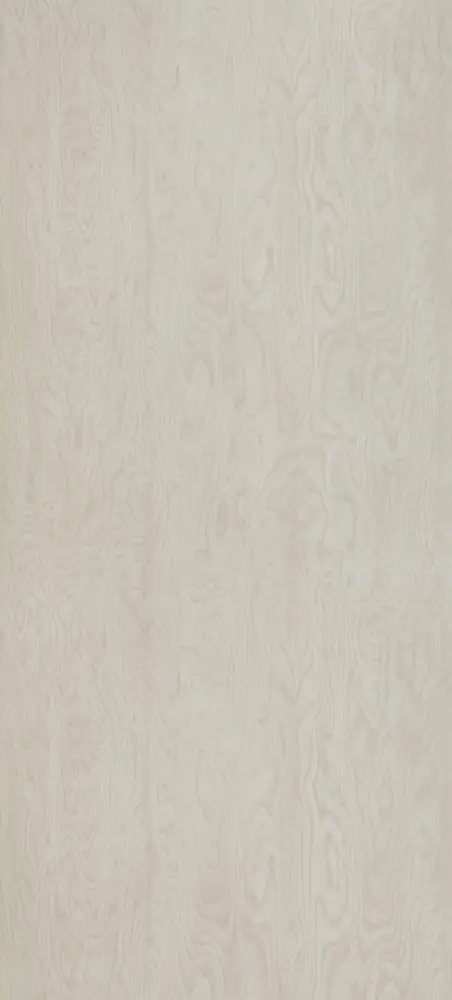 B192 - Bouleau Stevenson