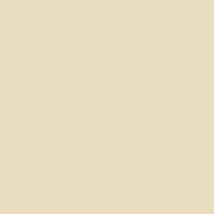C017 - Coquille D'Œuf