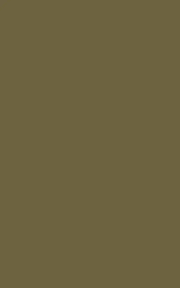C035 - Camouflage
