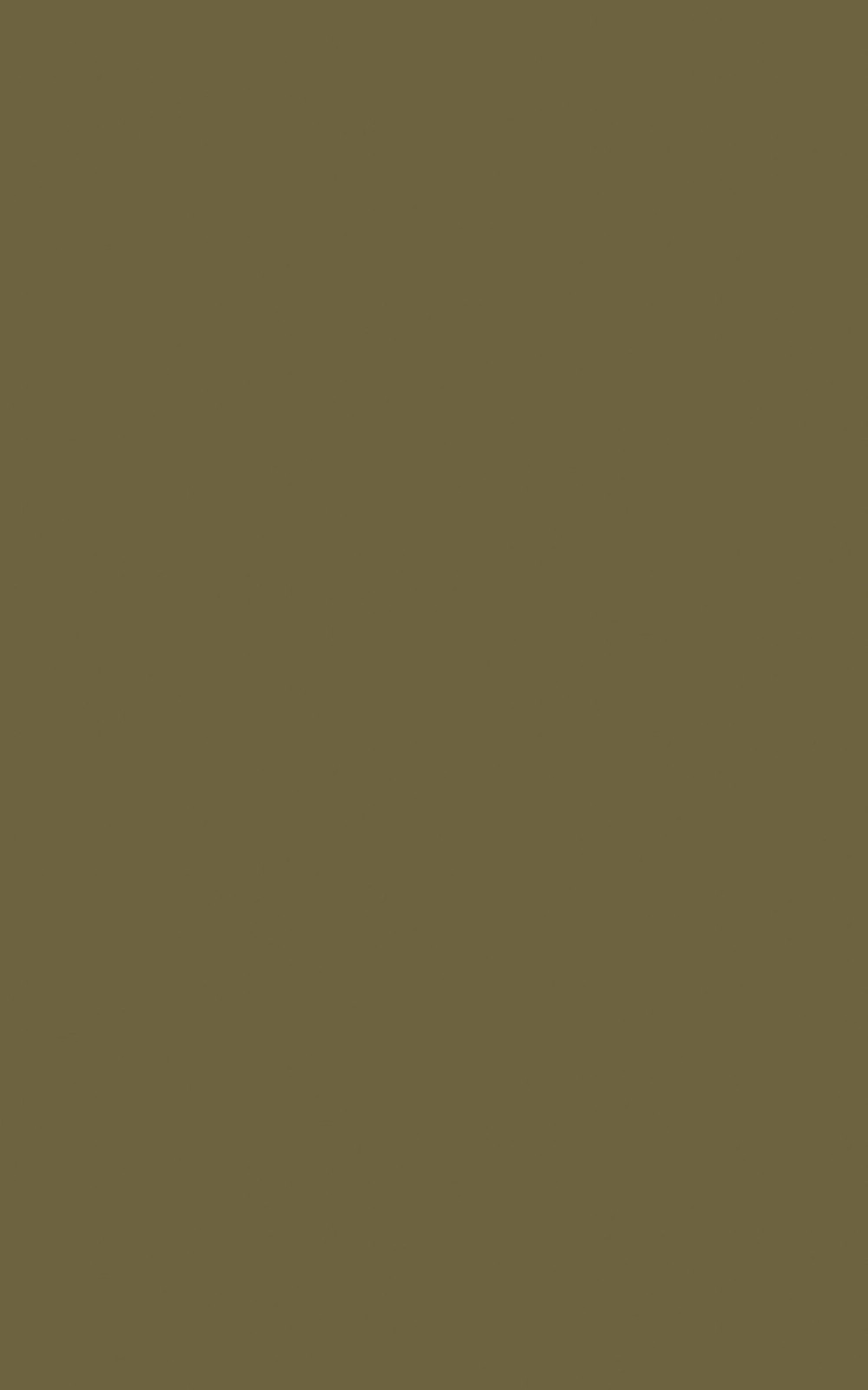 C035 - Camouflage: imagen 1