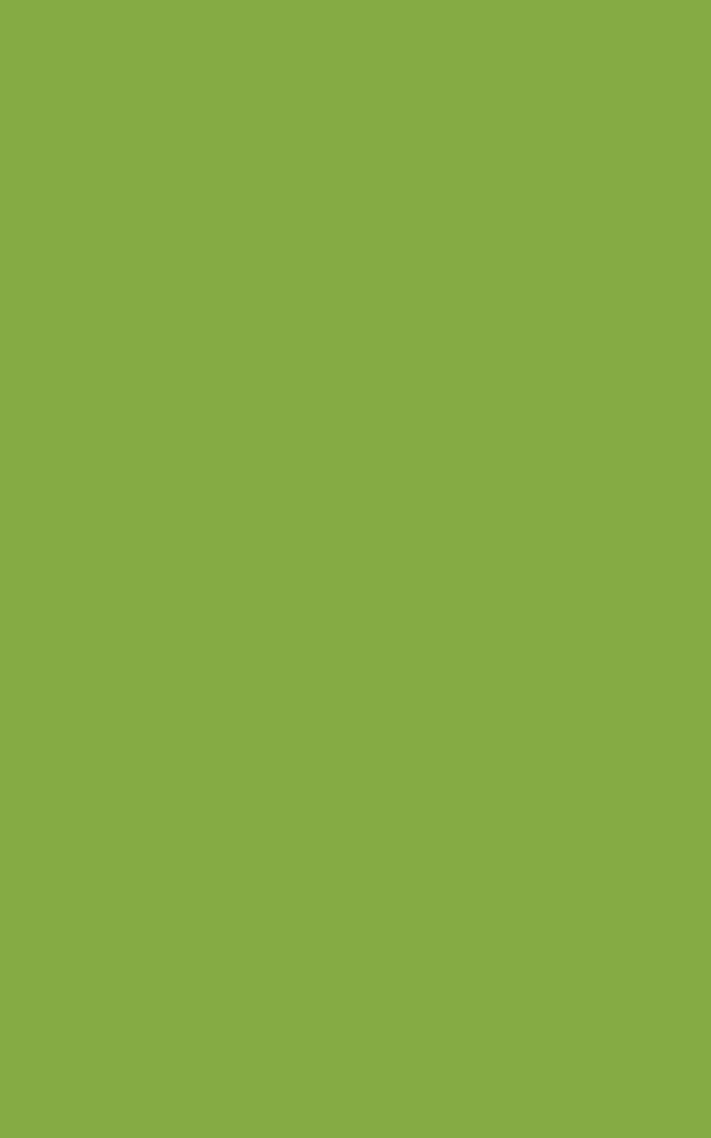 C049 - Cactus: imagen 1
