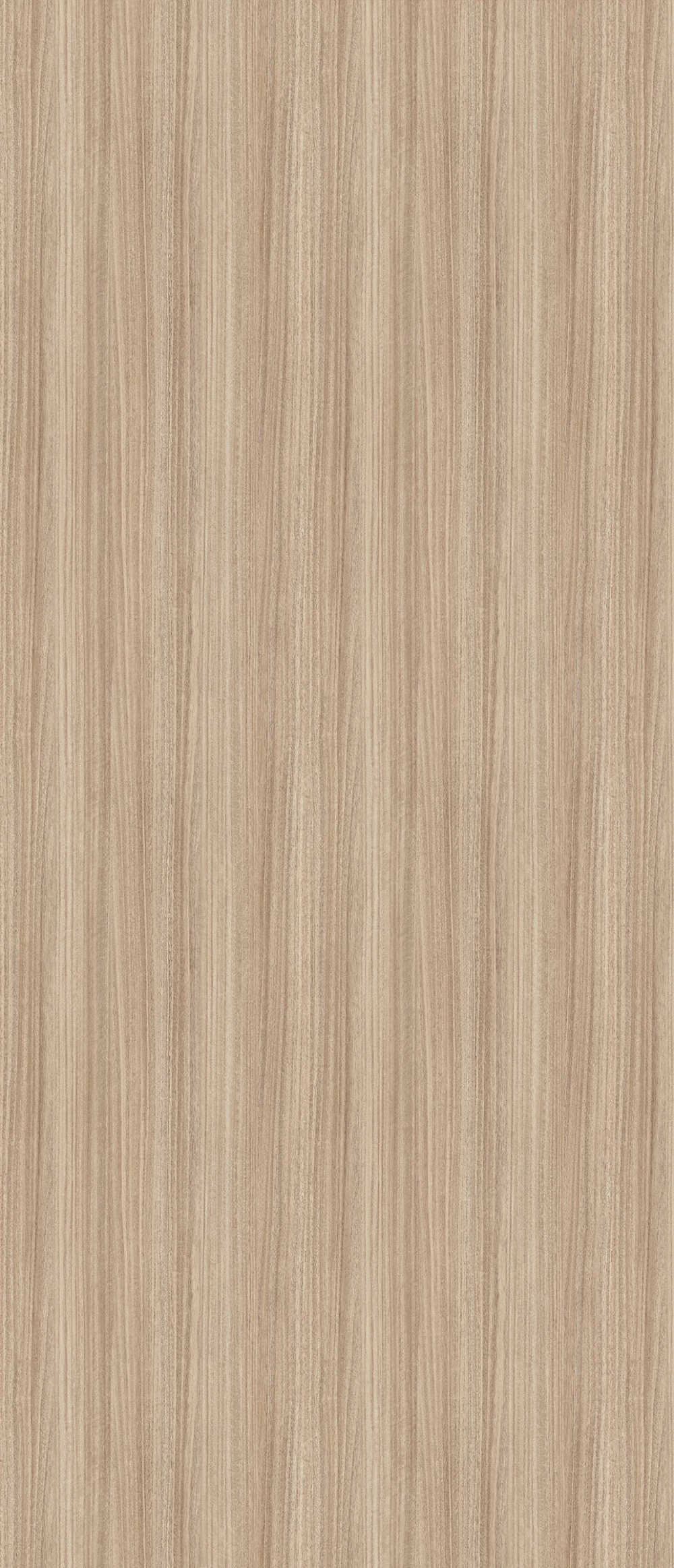 E110 - Eucalyptus Rubane: imagen 1