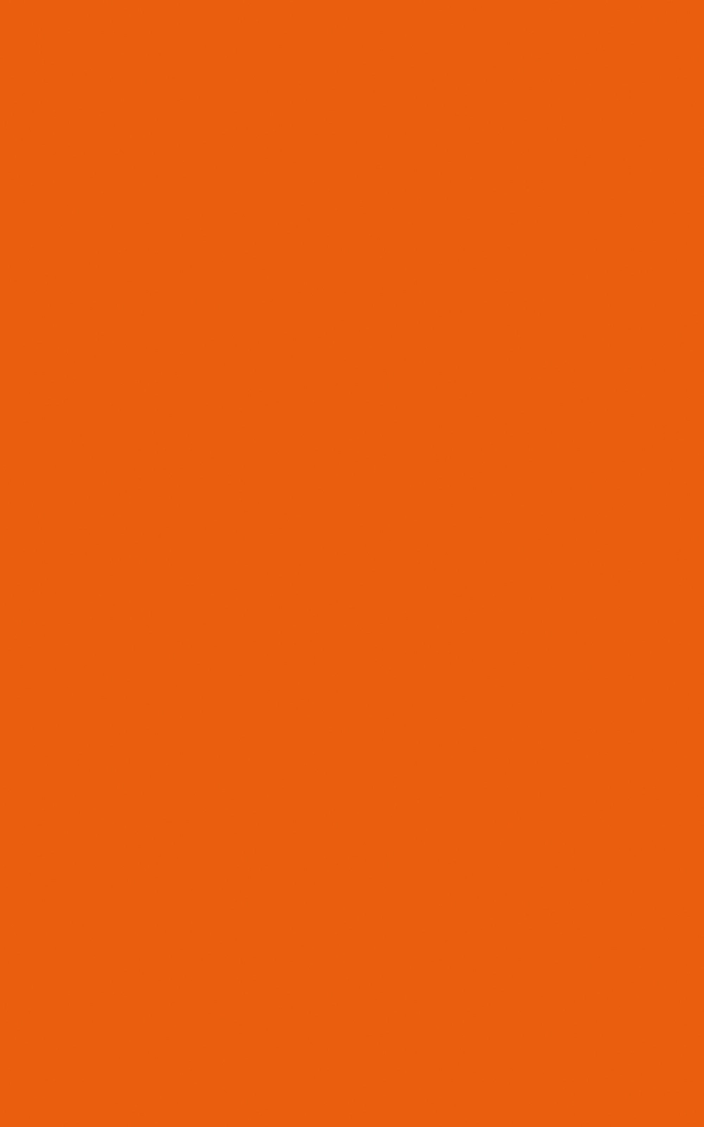 F001 - Florida: imagen 1
