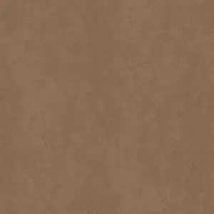 F323 ST20 - Cobra Bronce