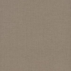 F424 ST10 - Lino Topo: imagen 3