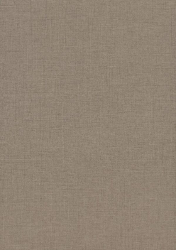 F424 ST10 - Lino Topo