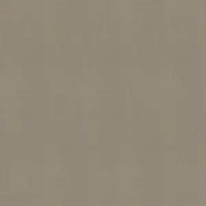 F424 ST10 - Lino Topo