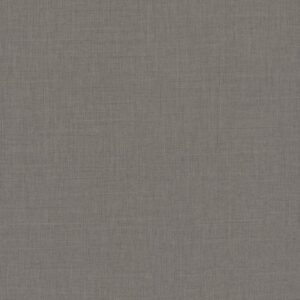 F433 ST10 - Lino Antracita: imagen 3