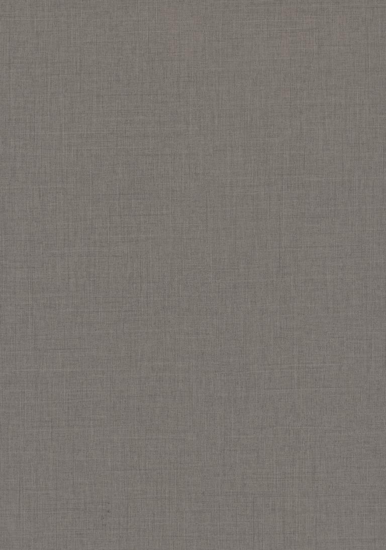 F433 ST10 - Lino Antracita: imagen 3