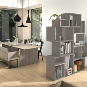 F433 ST10 - Lino Antracita: imagen 2