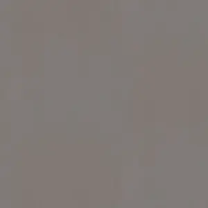 F433 ST10 - Lino Antracita