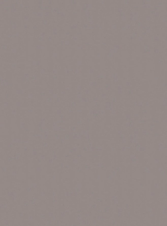 F501 ST2 - Aluminio Cepillado - Laminado Egger: imagen 1