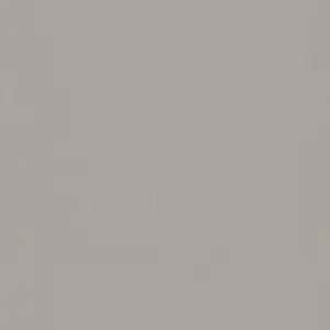 F765 ST20 - Gris Plata Cepillado