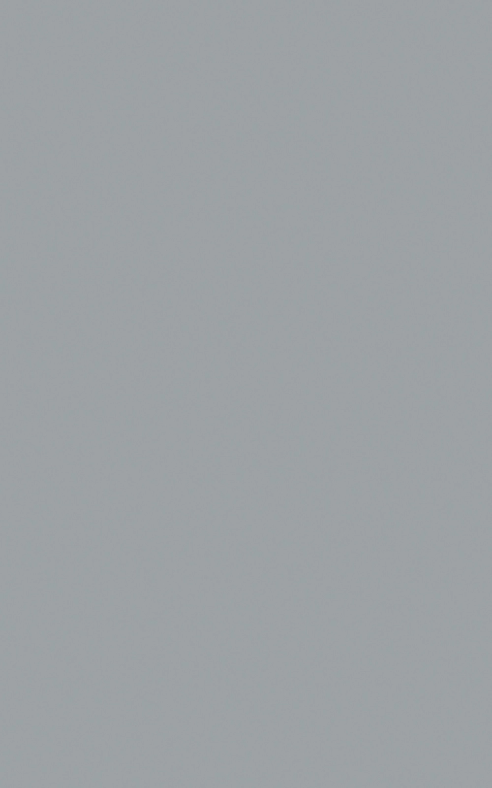 G003 - Gris Perle: imagen 1