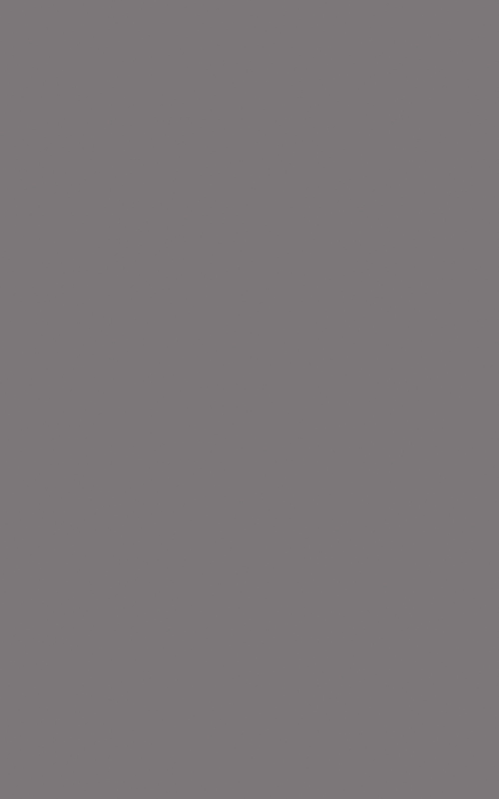 G080 - Gris Taupe: imagen 1