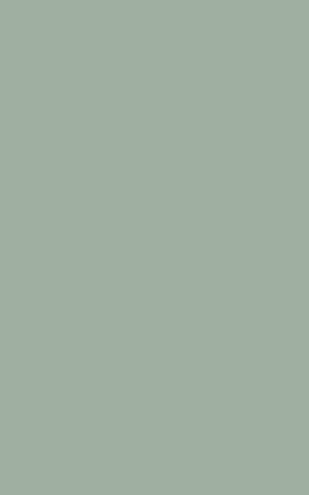 G115 - Gris Saguenay: imagen 1