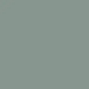 G118 - Gris Mercure
