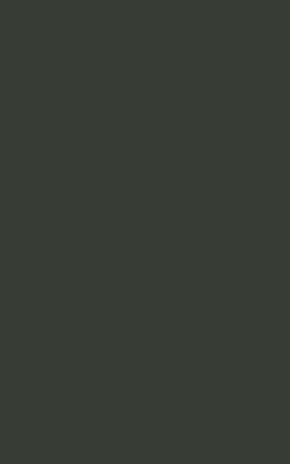 G120 - Gris Vison: imagen 1
