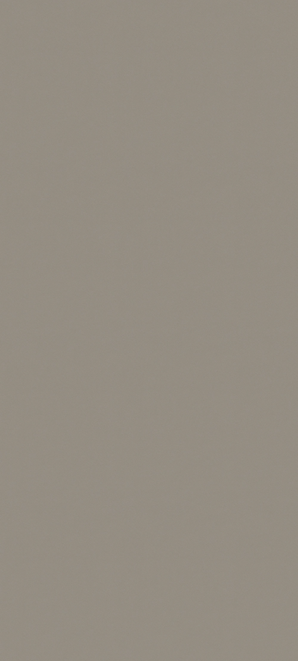 G121 - Gris Etincelle: imagen 1