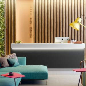 71A - Gris Gu: imagen 2