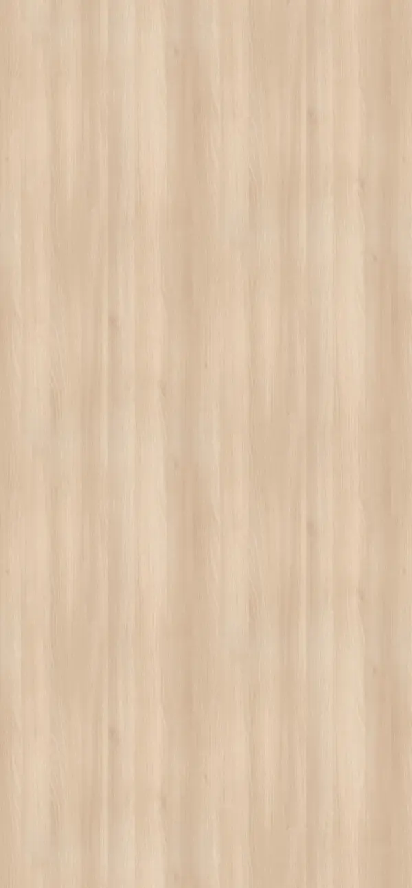 H1277 ST9 - Acacia De Lakeland Crema