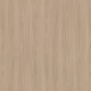 H1377 ST36 - Roble Orleans Arena