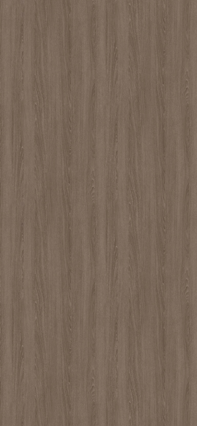 H1379 ST36 - Roble Orleans Topo: imagen 1