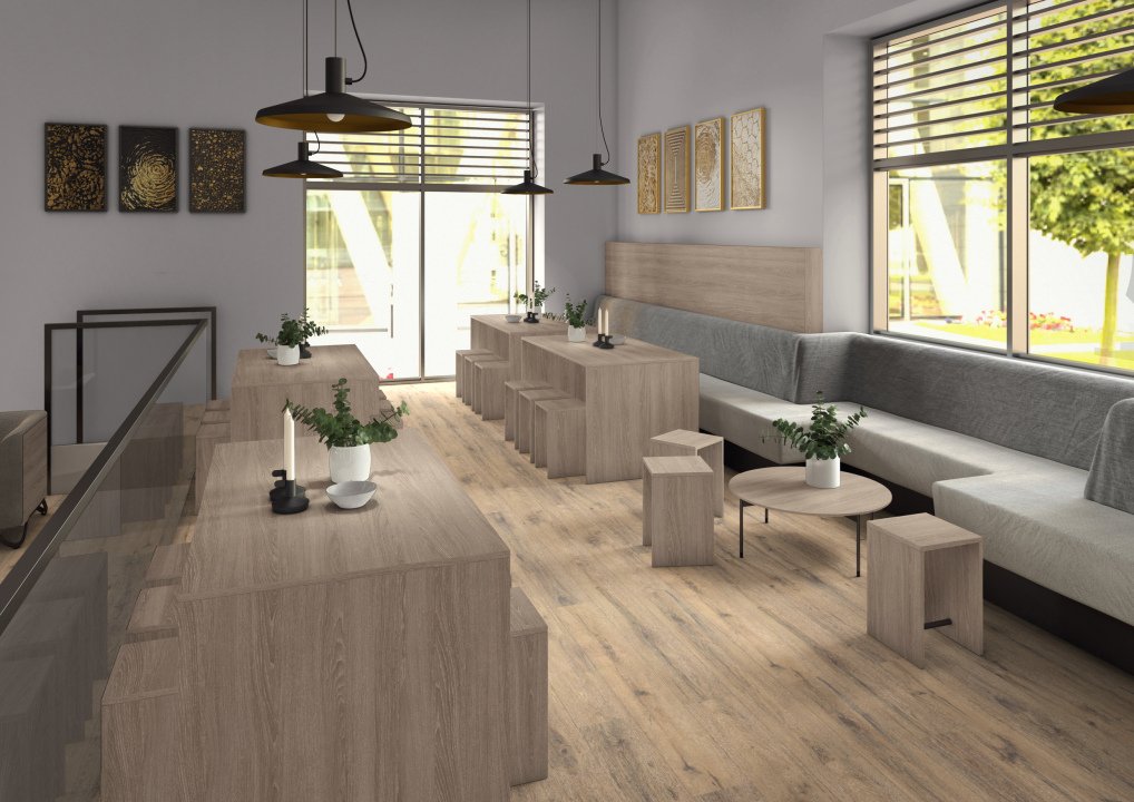 H1379 ST36 - Roble Orleans Topo: imagen 2