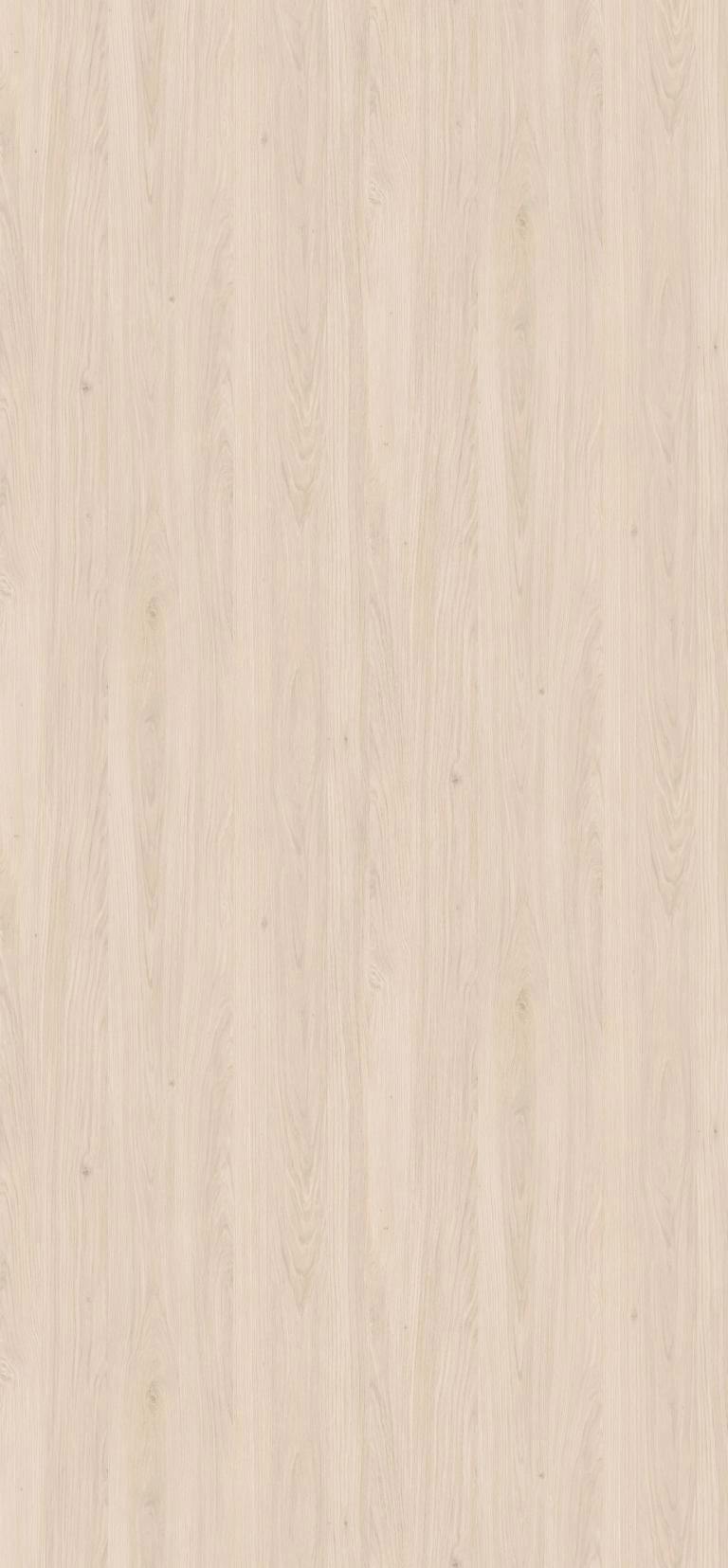 H1384 - Roble Casella Blanco: imagen 1