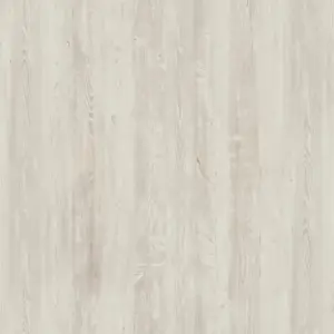 H1401 ST22 - Pino Cascina