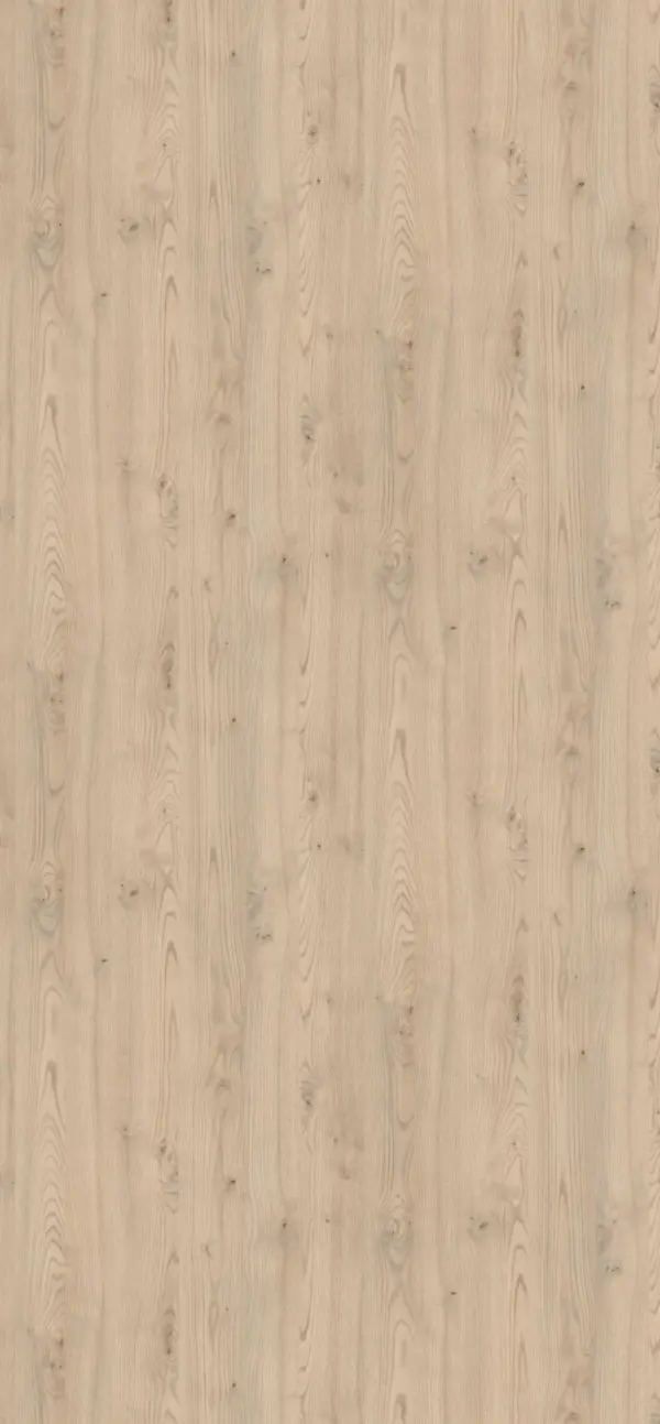 H1710 - CastaÑo De Kentucky Arena