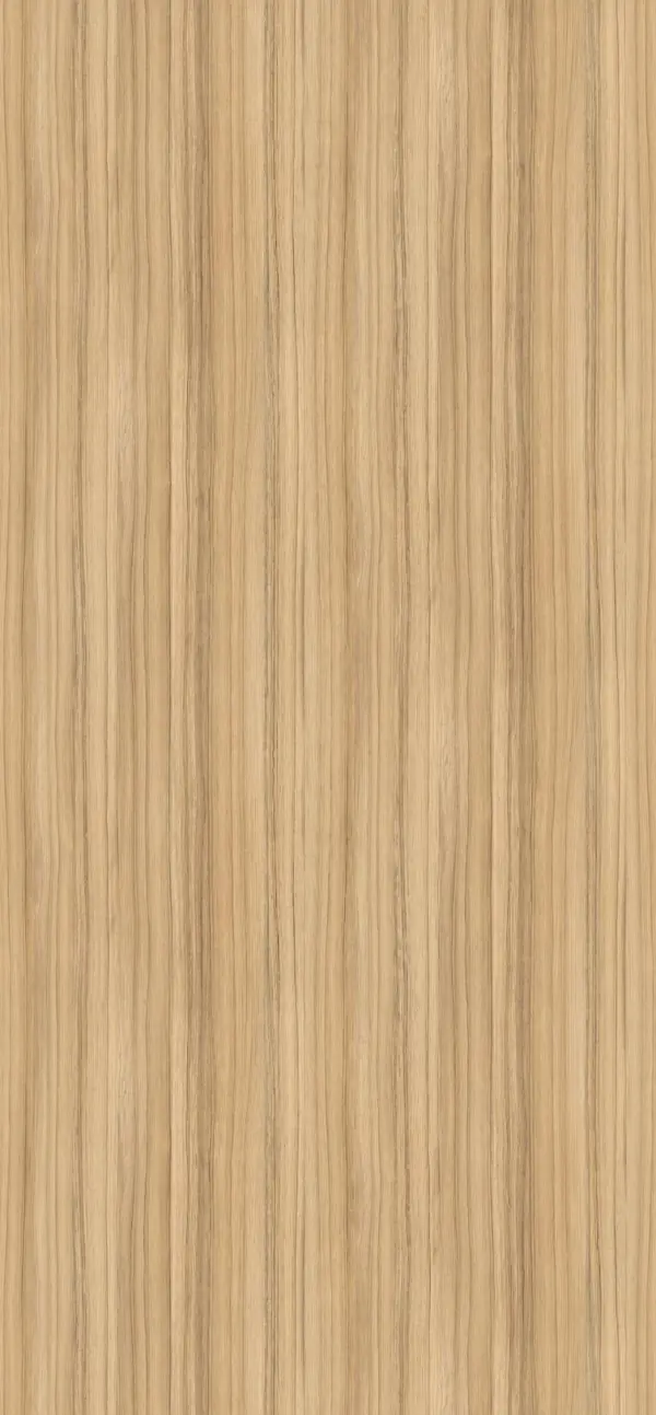 H3012 ST22 - Coco Bolo